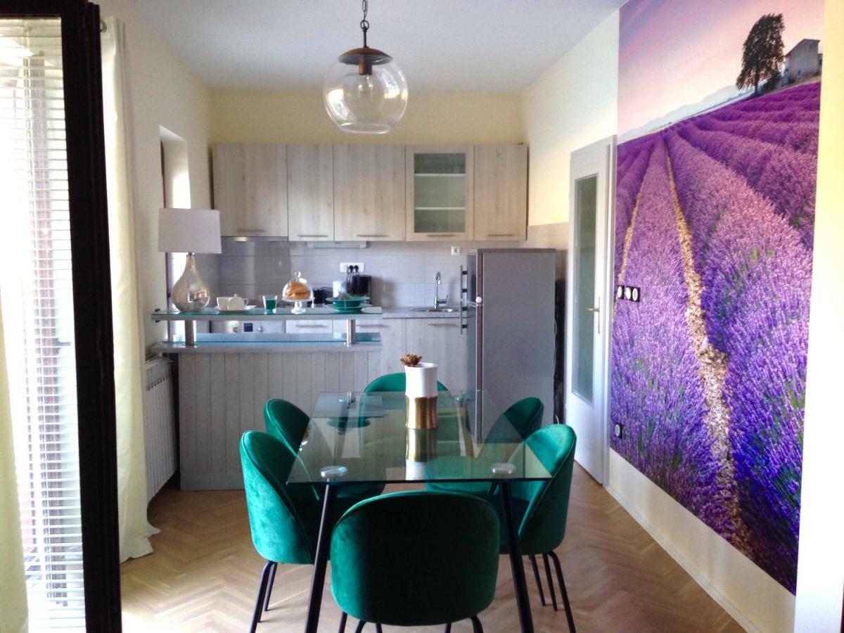 Vacation Home Viducic Dragove المظهر الخارجي الصورة